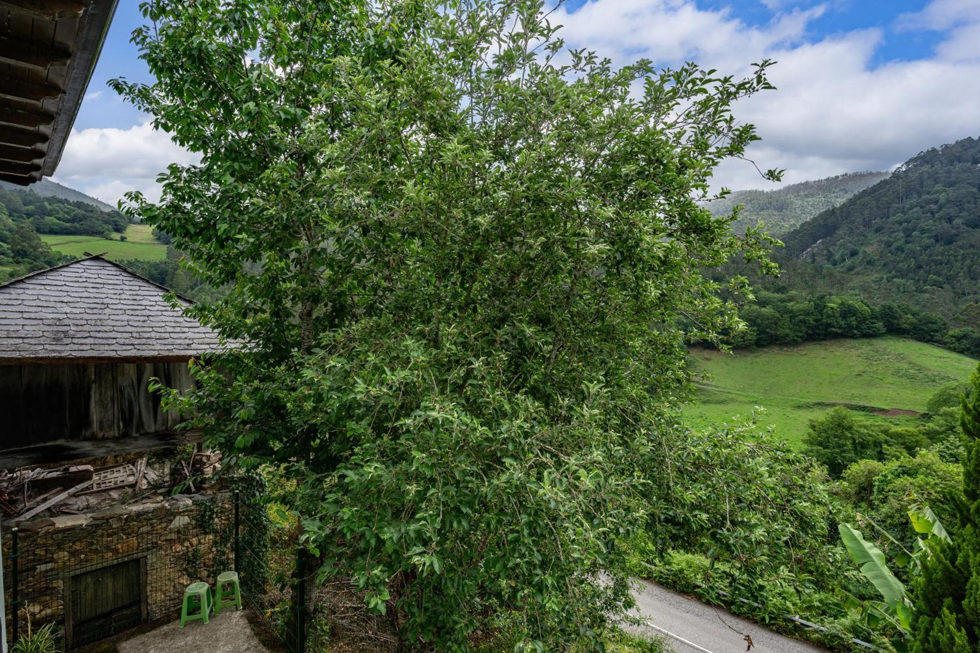 Вилла Maseda 1 Villayon Экстерьер фото