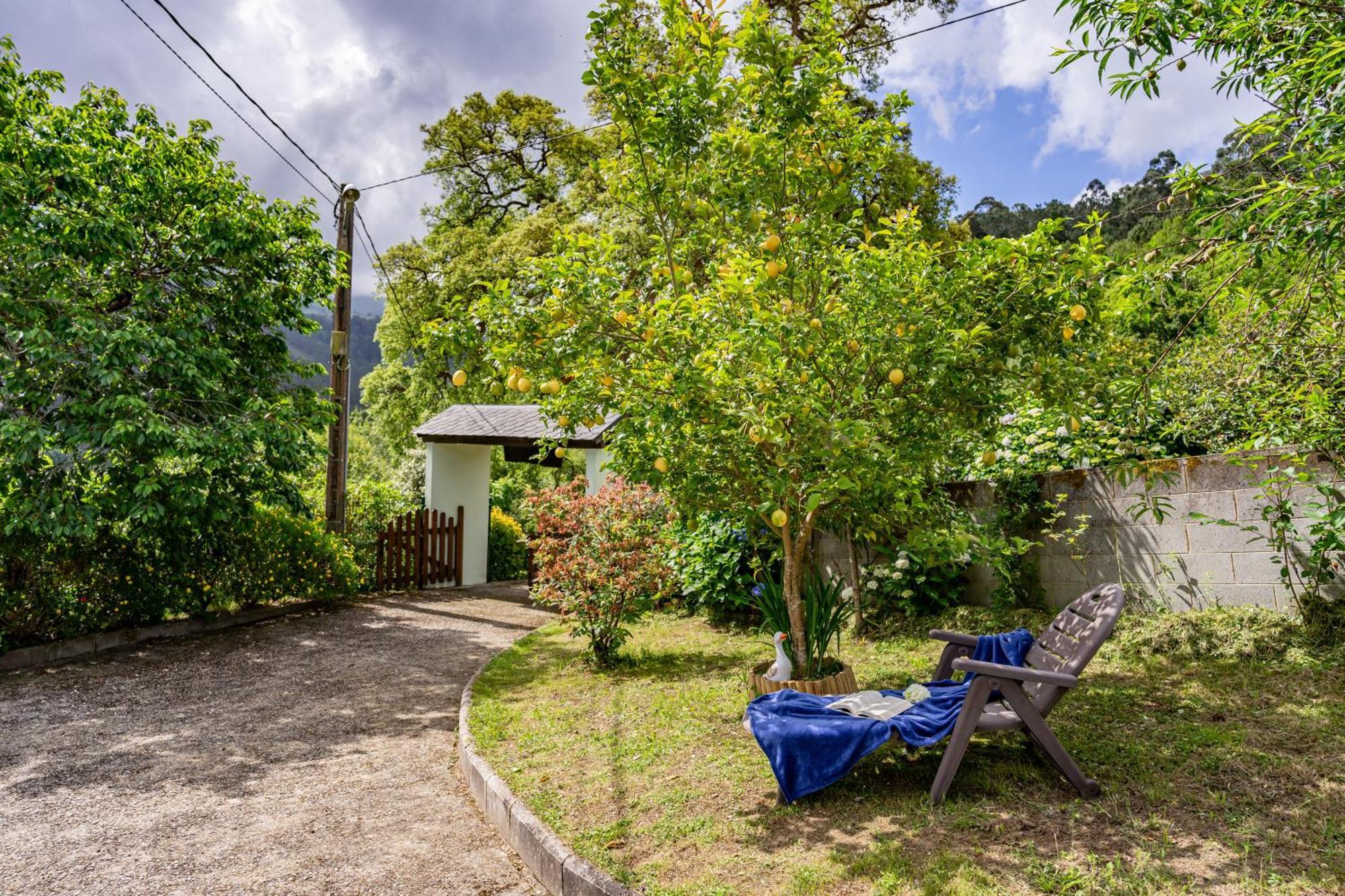 Вилла Maseda 1 Villayon Экстерьер фото
